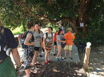 IMG_7125.jpg