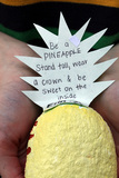 Pineapple 2.jpg