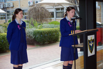 IMGP6371.jpg
