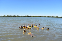 DSC_0100.jpg