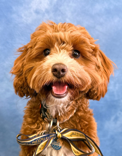 Bonnie's School Photo.jpg