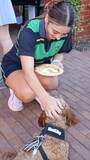 IMG_1274.JPG